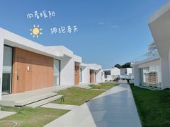 -龙坞茶村