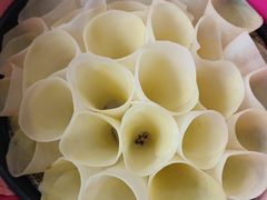 -蜀家渝重庆火锅(南屏街店)