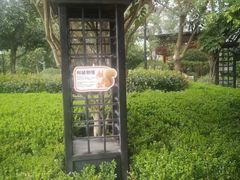 -青岛鑫江温德姆酒店