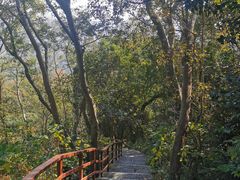 -大蜀山国家森林公园