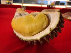 -都念榴莲·城市榴莲