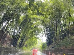 -平乐古镇
