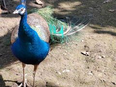 -哈尔滨北方森林动物园