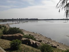-丁香湖公园