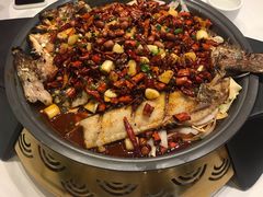 经典香辣烤鱼（清江鱼/份）-锦尚阁烤鱼(望京新荟城店)