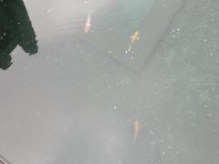 -百脉泉景区