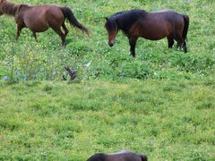 -叠溪松坪沟景区