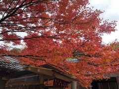 -常寂光寺