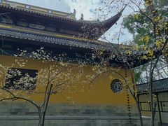 -西园戒幢律寺