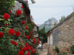 -威海大乳山景区