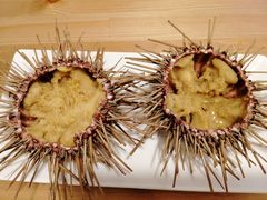 -海胆小馆(东北水饺·春柳店)