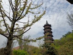 -牛首山文化旅游区