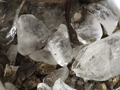 -浪琴湾尾角仔海鲜坊