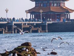 -青岛第三海水浴场