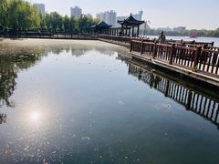-莲花池公园