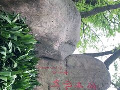 -上海方塔园