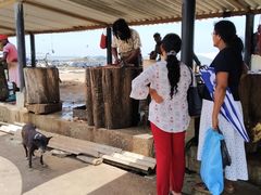 -尼甘布海鲜市场