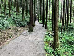 -雁荡山风景名胜区