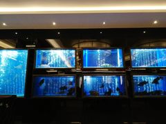 水产区-广州逸林假日酒店·四季桃源中餐厅(白云山风景区店)