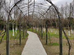 -上海长兴岛郊野公园