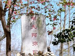 -寂照庵