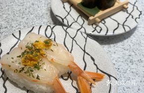 Sea Urchin and Red Shrimp