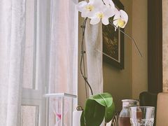 -子霖南山鲜虾面(南山总店)