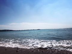 -青岛第二海水浴场