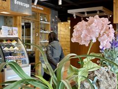 -劳顶笨咖啡(丽水宜家店)