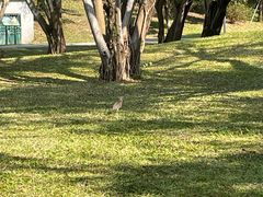 -福田红树林生态公园
