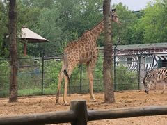 -大连森林动物园