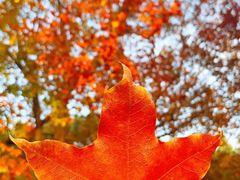 -长辛店二七公园