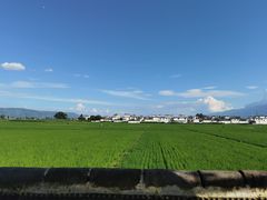-喜林苑·稻田餐厅(品相府店)