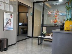 -半岛宠物医院24小时(西派城店)