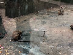 -水绘园