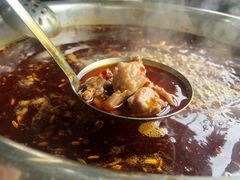 -水碾河肥兔火锅(水碾河店)
