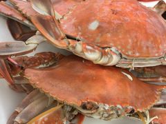 -胖大嫂渔家排档·全海景餐厅(渔村店)