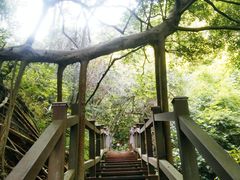 -羚羊峡古栈道森林公园