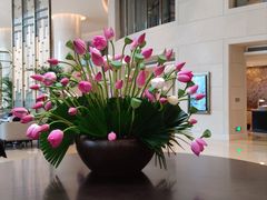 -茶源Fountain Lounge大堂吧·北京东方君悦大酒店
