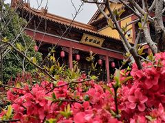 -方山风景区定林寺