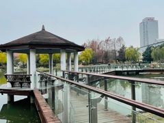 -新虹桥中心花园