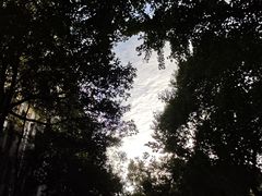 -四川大学(华西校区)