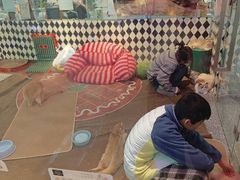 -大型宠物商超·宠海王国·宠物猫狗活体·用品·美容(新世界百货重庆店)