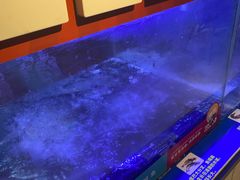 -鱼酷活鱼烤鱼(南京水游城店)