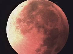 -外滩8号 whisky bar(金延大厦店)