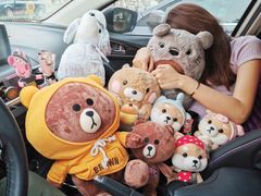 -PAWTOY爪e玩偶店(天兴罗斯福店)