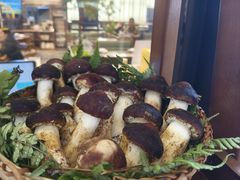 -滇铺子·云南特色菜·第九届野生菌美食节(曲靖万达店)