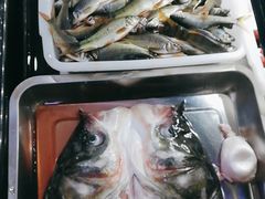 -畲乡一品鱼府土菜馆