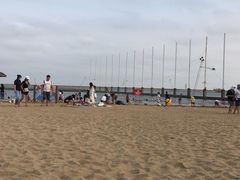 -碧海金沙