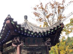 -佛慧山